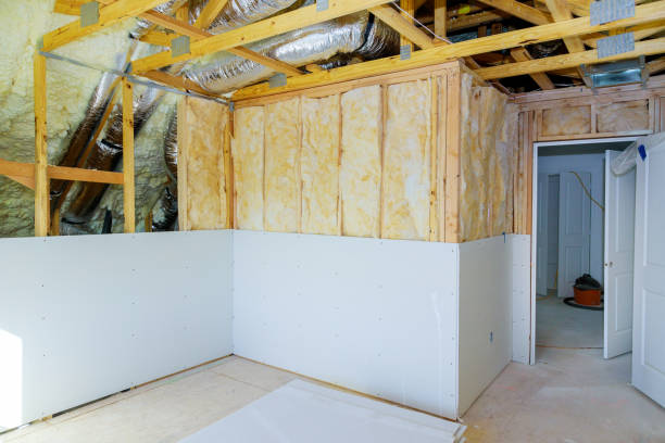 Best Commercial Insulation Services  in Albany, GA